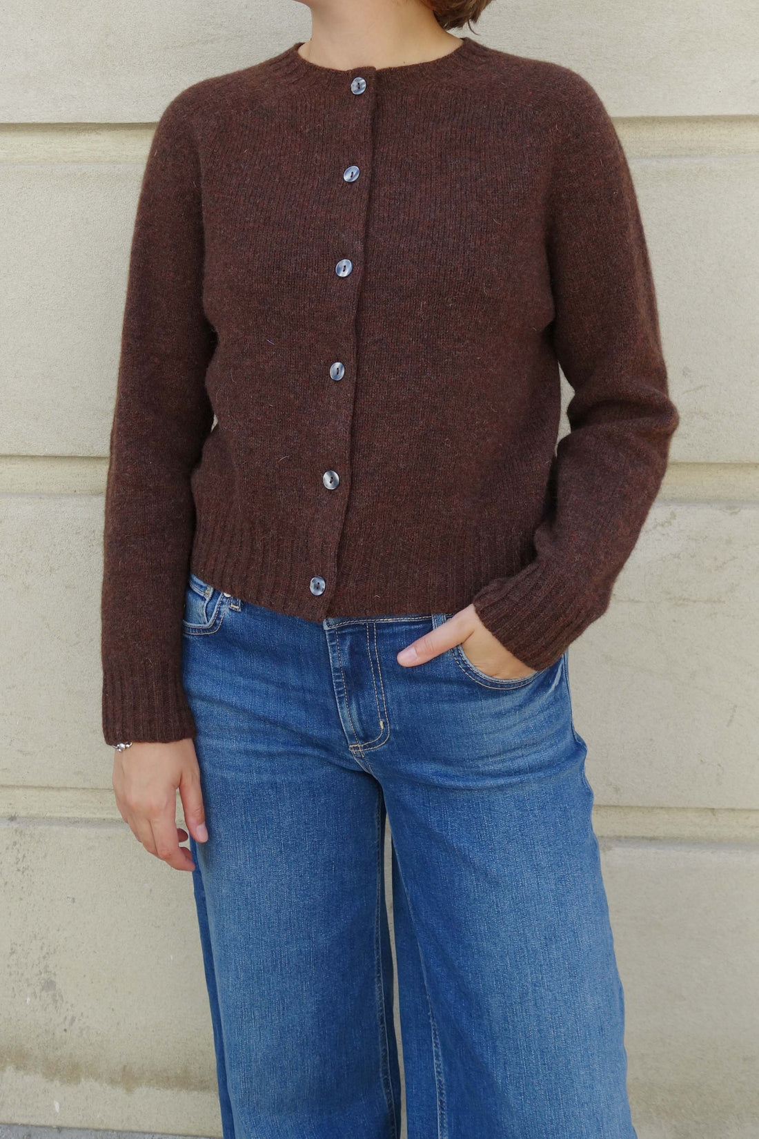 Lambswool crew-neck cardigan marron