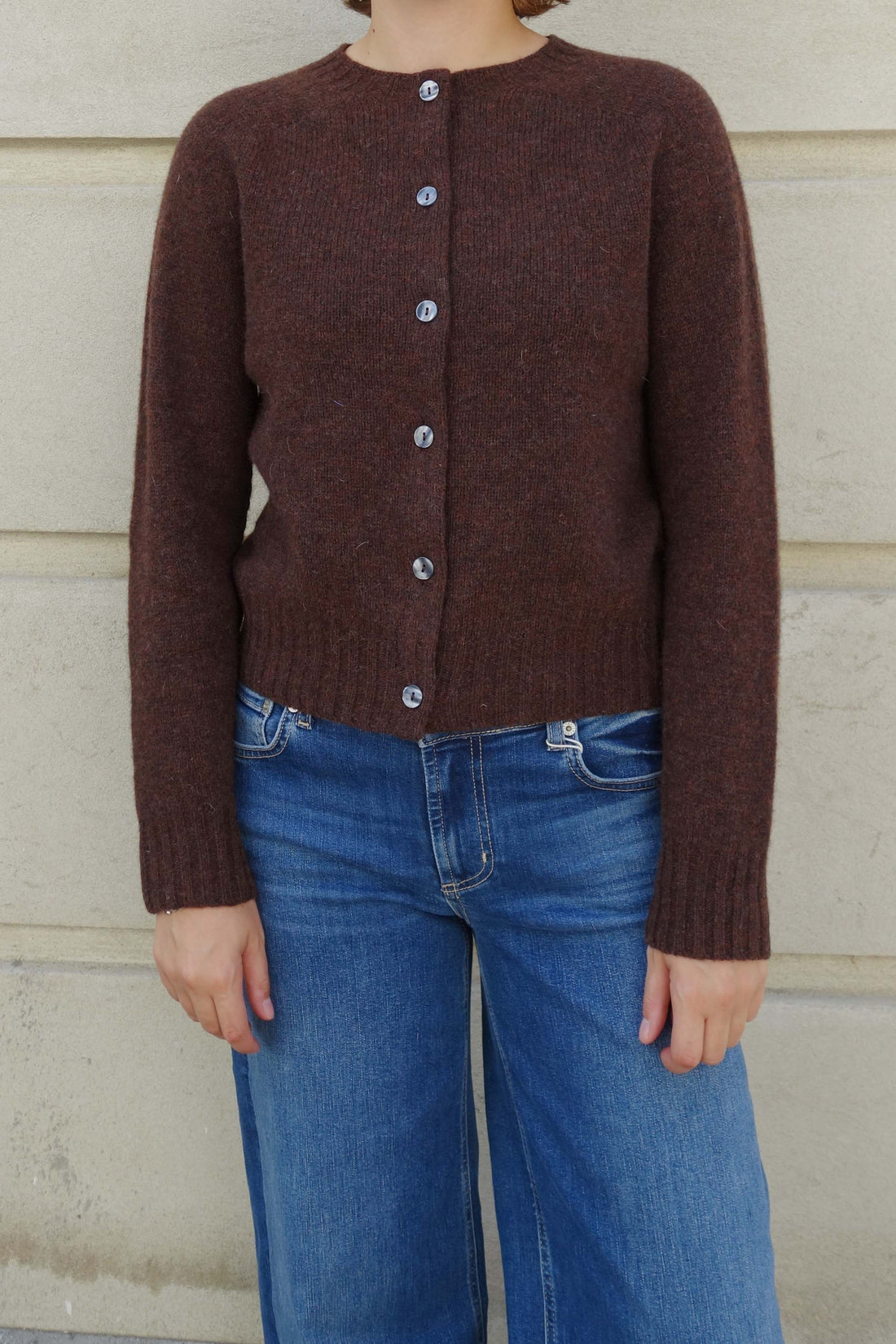 Lambswool crew-neck cardigan marron