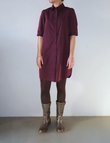 Rosa dress burgundy stripe